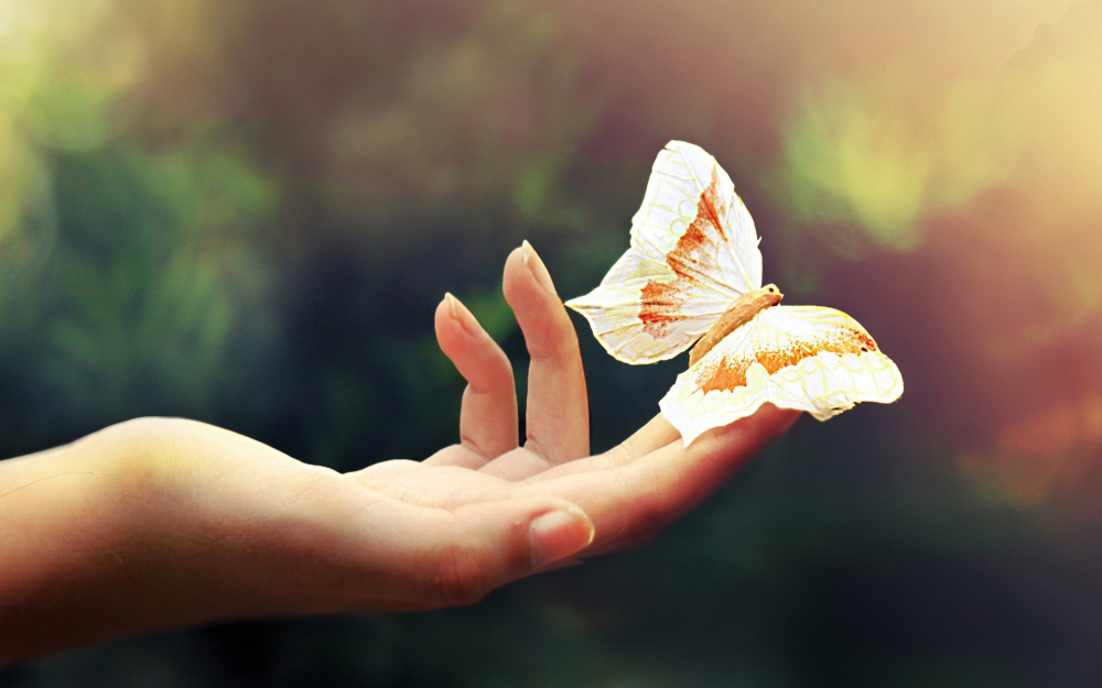 Quá trình khống chế bản thân và làm chủ xúc cảm là một quá trình không hề dễ dàng. Nhưng vượt qua rồi bạn sẽ thấy nội tâm an hoà, con đường phía trước mở rộng thênh thang… (Ảnh: pixabay.com)
